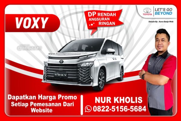 VOXY